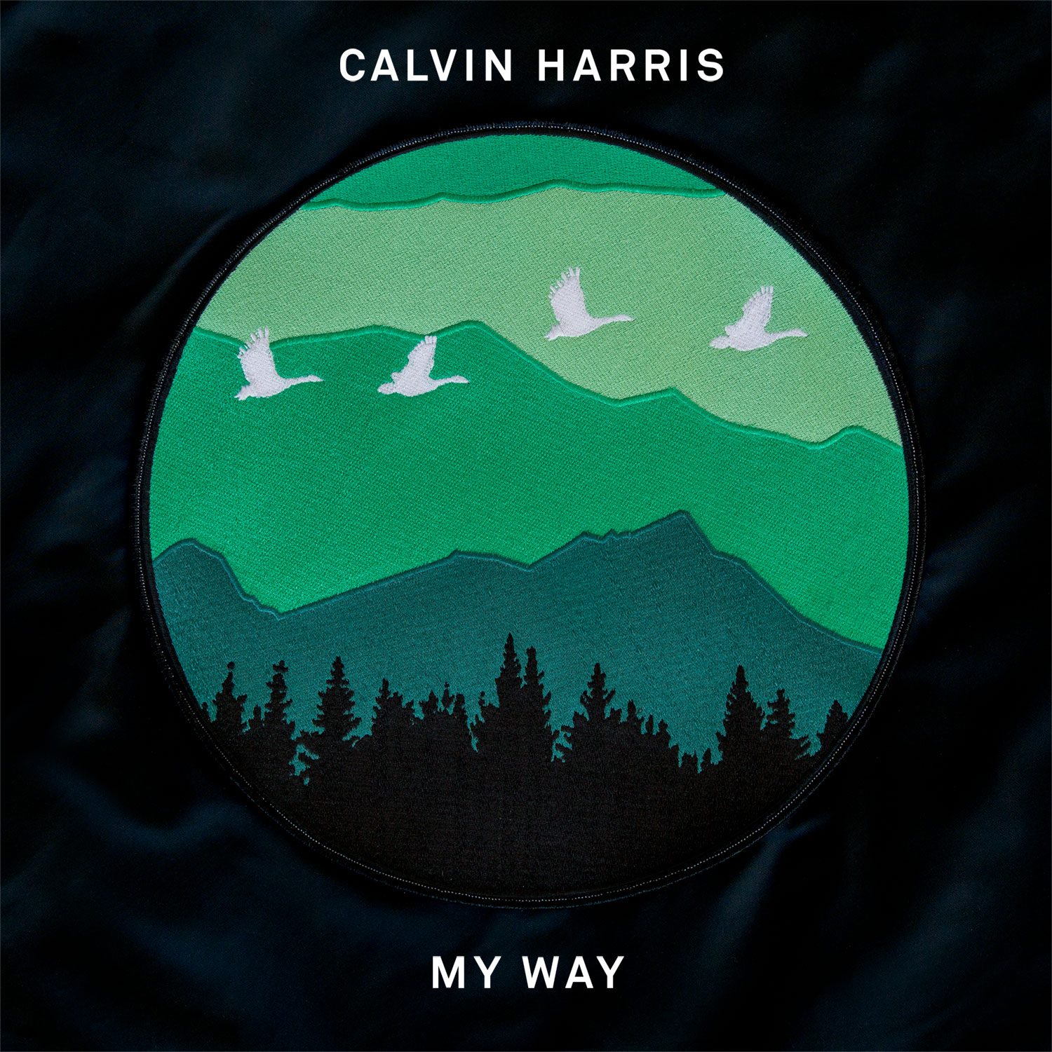 Calvin Harris Cover